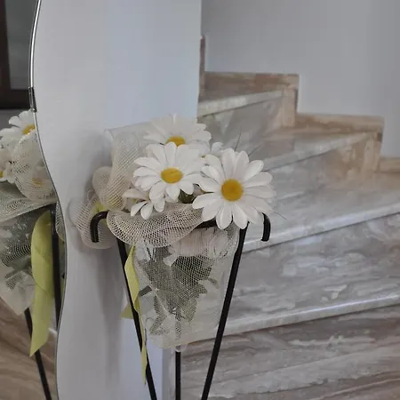 Sissy's Suites Thassos * Potos